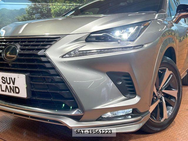 Lexus NX 2021-09 8457809-11