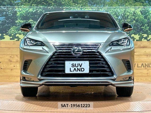 Lexus NX 2021-09 8457809-13