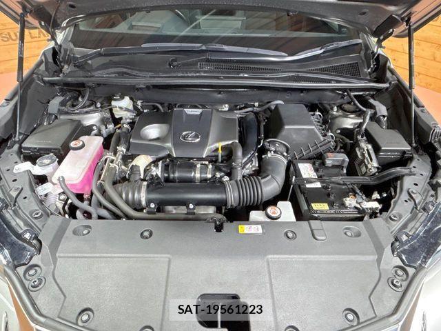 Lexus NX 2021-09 8457809-17