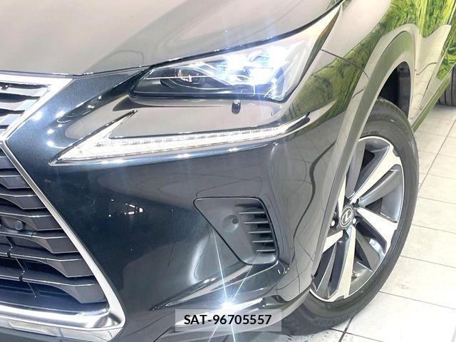 Lexus NX 2017-11 8457812-11