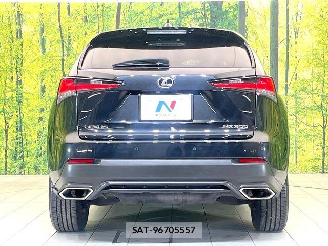 Lexus NX 2017-11 8457812-14