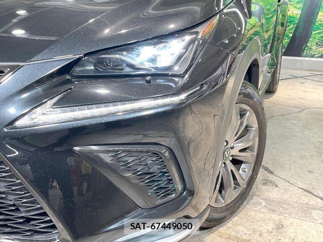 Lexus NX 2019-08 8562458-14