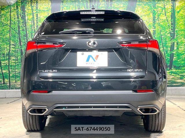Lexus NX 2019-08 8562458-17