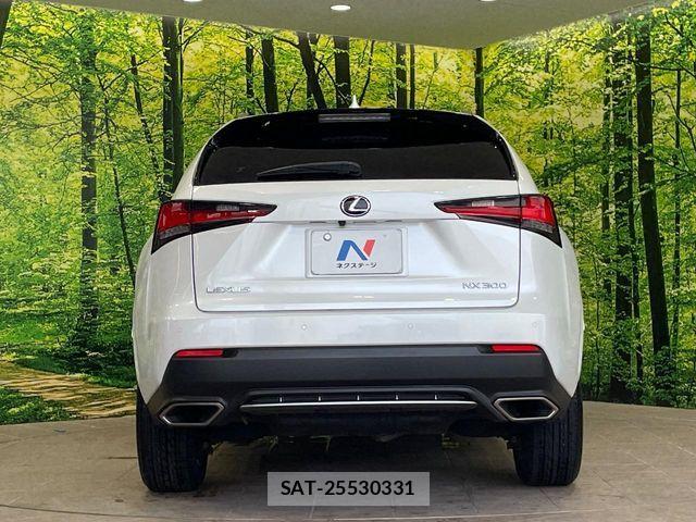Lexus NX 2020-11 8627493-13