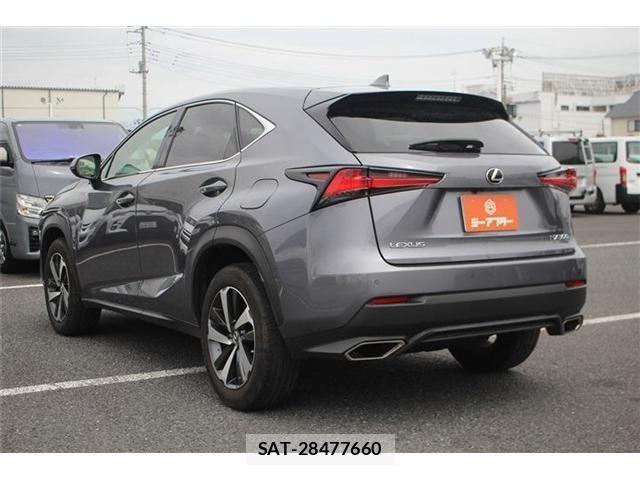 Lexus NX 2018-06 8627492-11