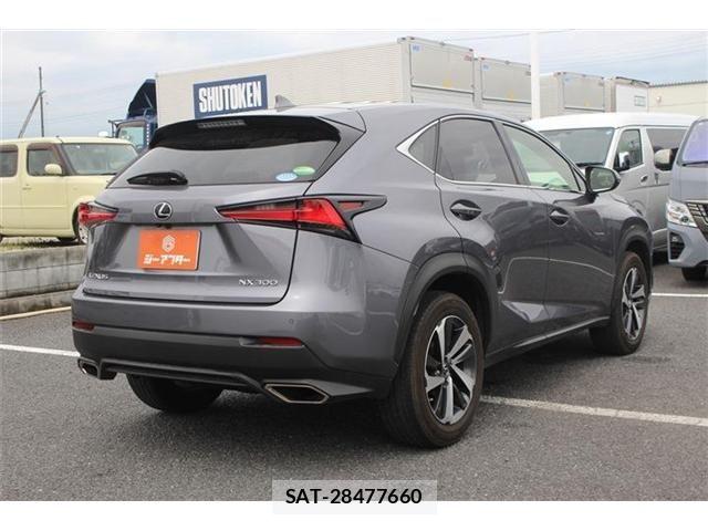 Lexus NX 2018-06 8627492-13