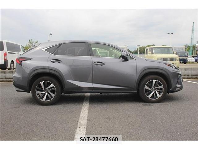 Lexus NX 2018-06 8627492-14