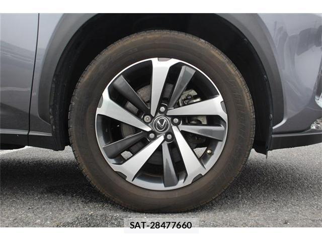 Lexus NX 2018-06 8627492-15