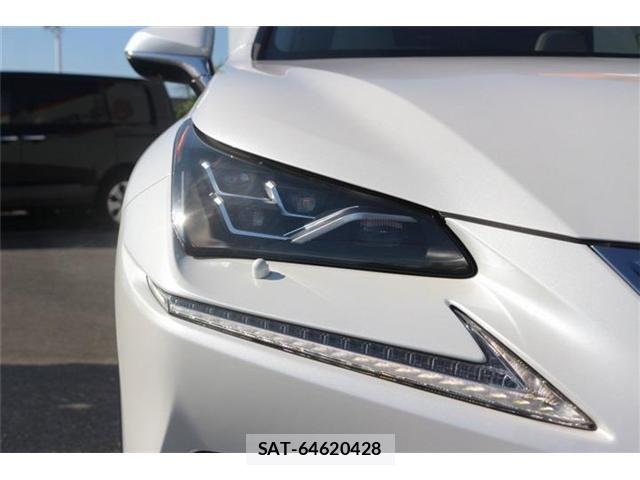Lexus NX 2018-03 8627496-12