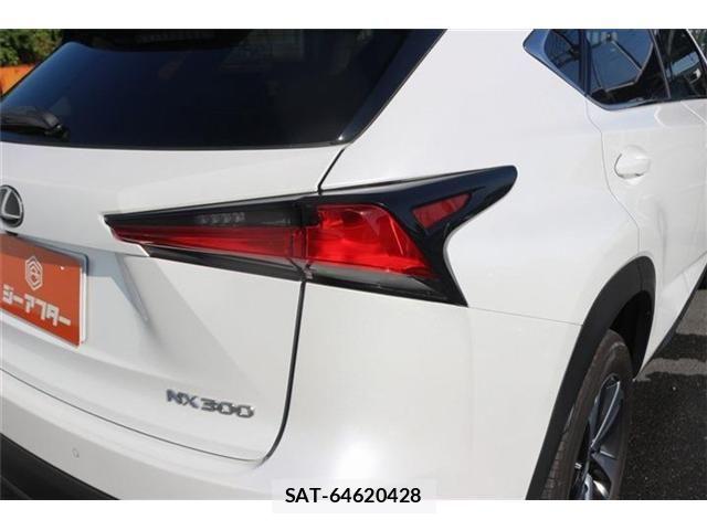 Lexus NX 2018-03 8627496-13