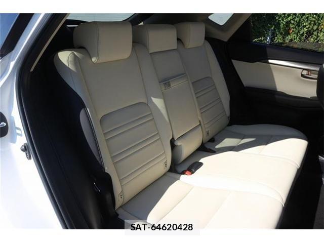 Lexus NX 2018-03 8627496-15