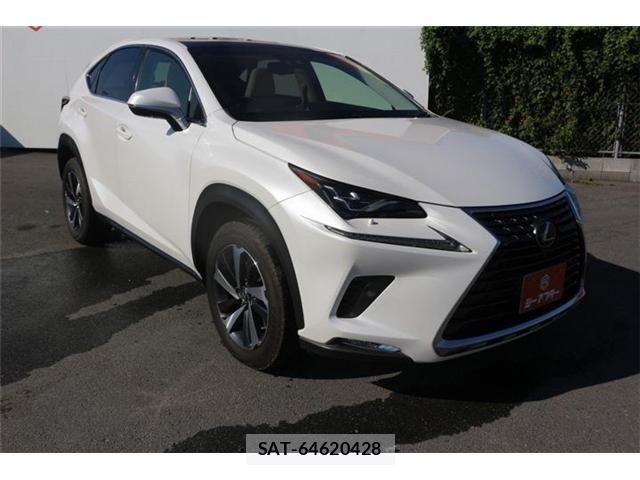 Lexus NX 2018-03 8627496-20