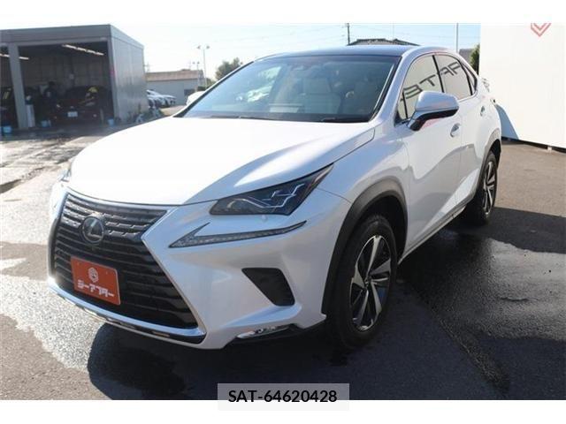 Lexus NX 2018-03 8627496-21