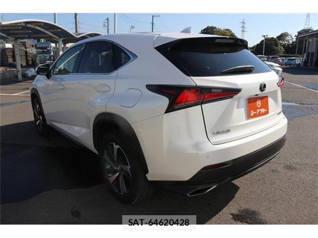 Lexus NX 2018-03 8627496-22