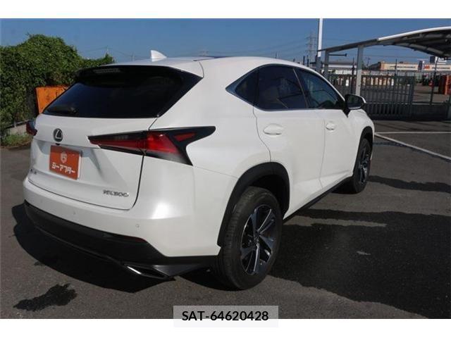 Lexus NX 2018-03 8627496-23