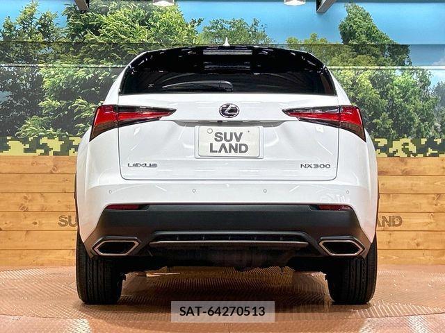 Lexus NX 2018-03 8659955-14
