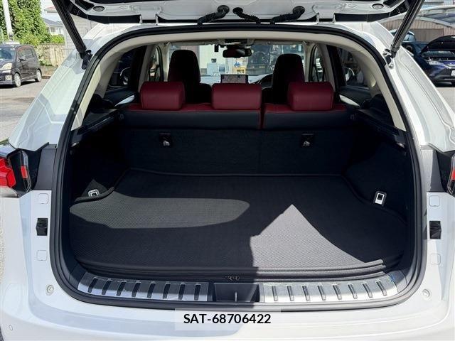 Lexus NX 2017-11 8659964-19