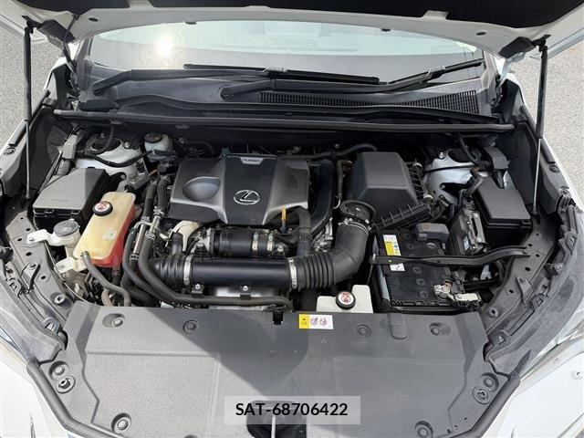 Lexus NX 2017-11 8659964-20