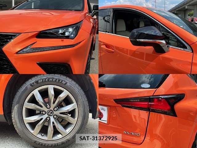 Lexus NX 2018-08 8666413-7