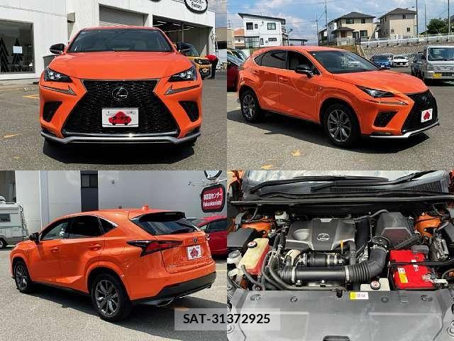 Lexus NX 2018-08 8666413-8