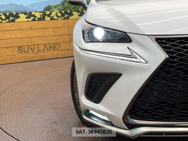Lexus NX 2019-09 8659958-12