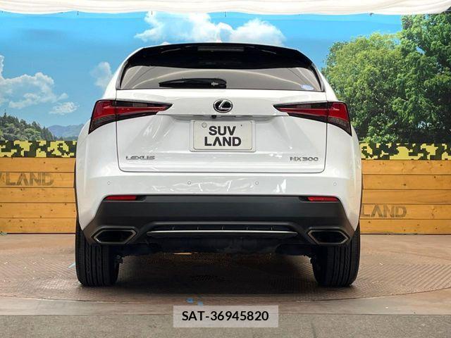 Lexus NX 2019-09 8659958-14