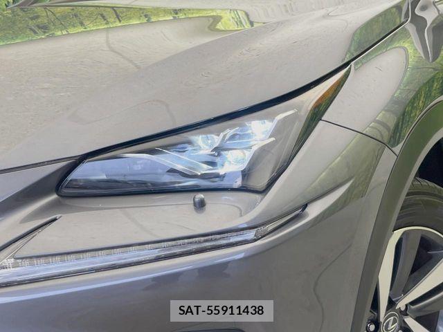 Lexus NX 2018-03 8659963-11