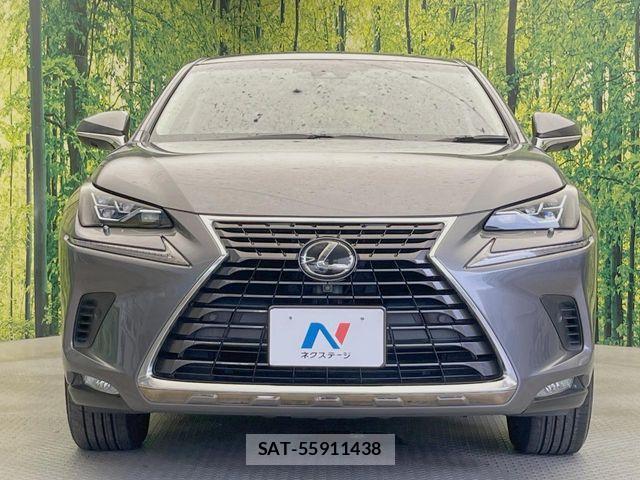 Lexus NX 2018-03 8659963-13