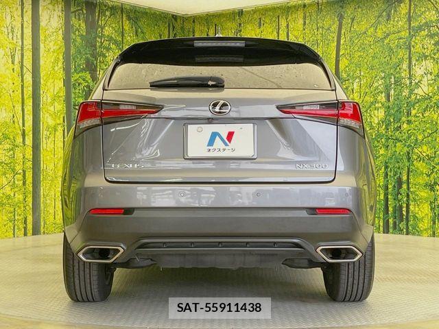Lexus NX 2018-03 8659963-14