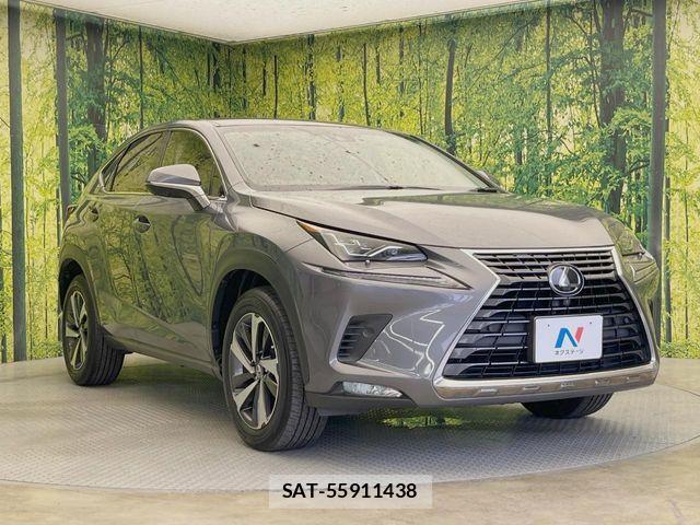 Lexus NX 2018-03 8659963-15