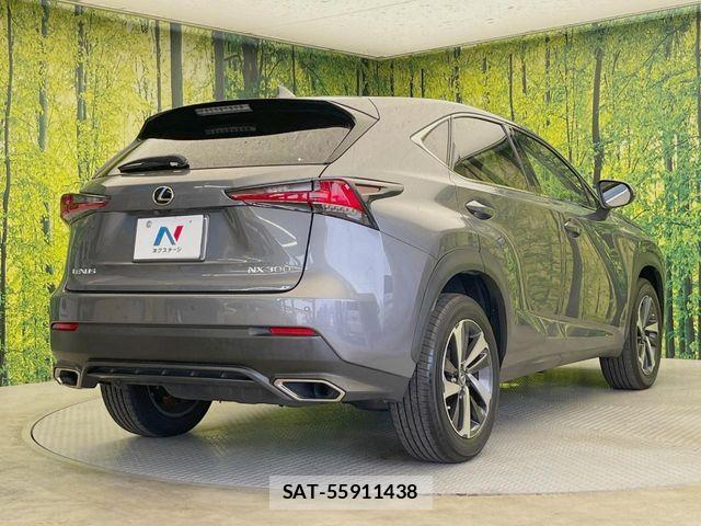 Lexus NX 2018-03 8659963-16