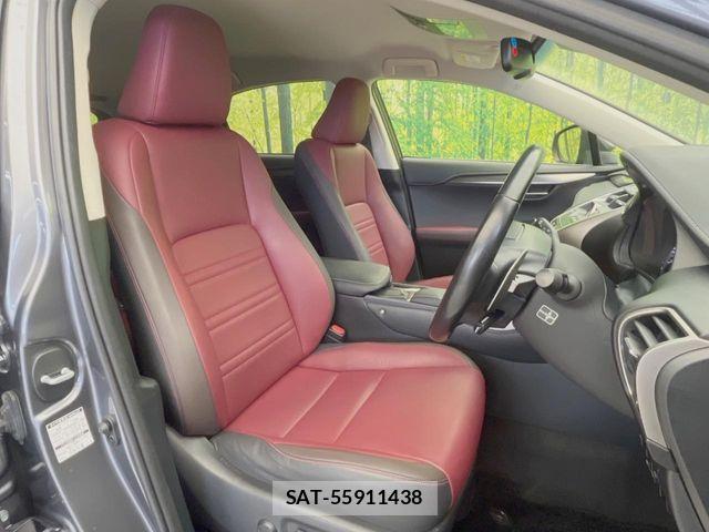 Lexus NX 2018-03 8659963-7