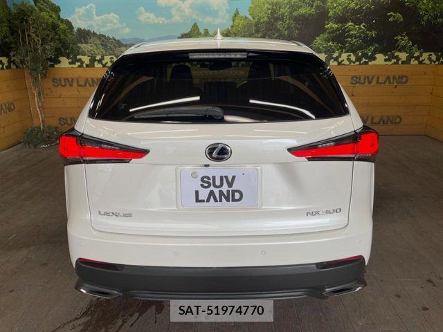 Lexus NX 2019-09 8659959-14
