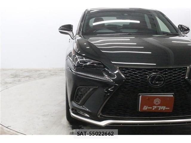 Lexus NX 2018-08 8666414-12