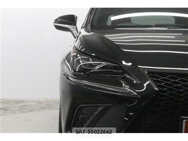Lexus NX 2018-08 8666414-13