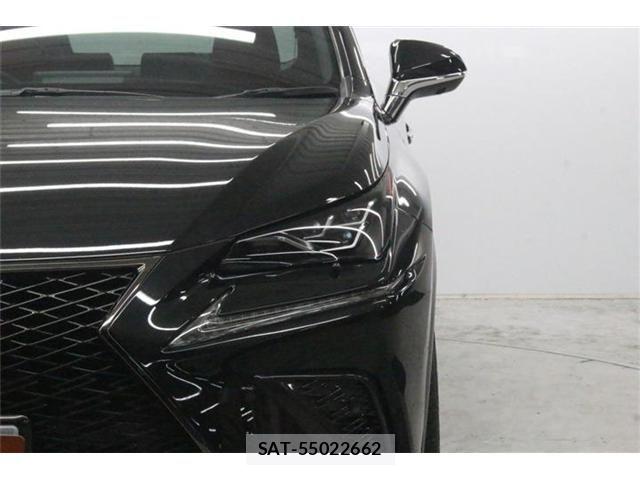 Lexus NX 2018-08 8666414-16
