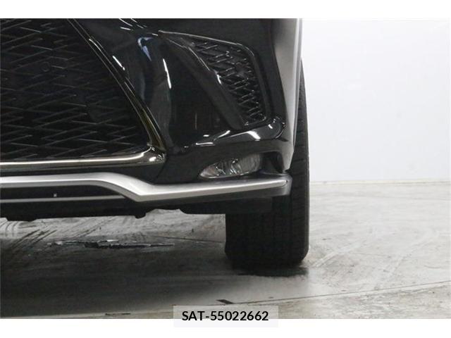Lexus NX 2018-08 8666414-17