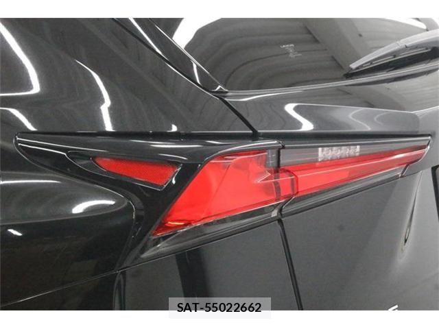 Lexus NX 2018-08 8666414-19