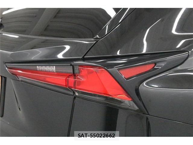 Lexus NX 2018-08 8666414-20