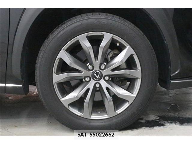 Lexus NX 2018-08 8666414-24