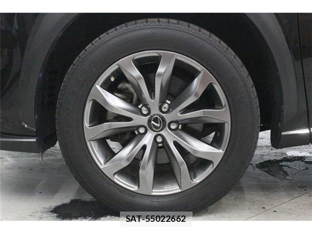 Lexus NX 2018-08 8666414-25
