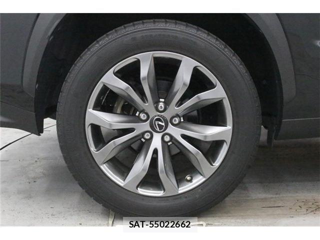 Lexus NX 2018-08 8666414-27