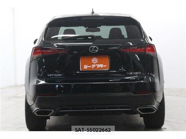 Lexus NX 2018-08 8666414-7