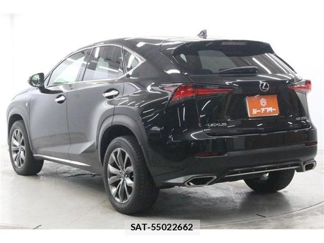 Lexus NX 2018-08 8666414-8
