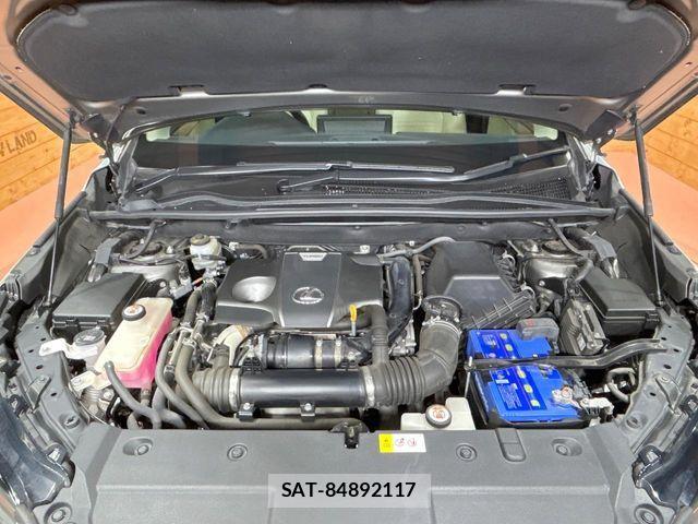 Lexus NX 2018-01 8659962-17
