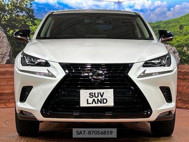 Lexus NX 2019-05 8743457-13