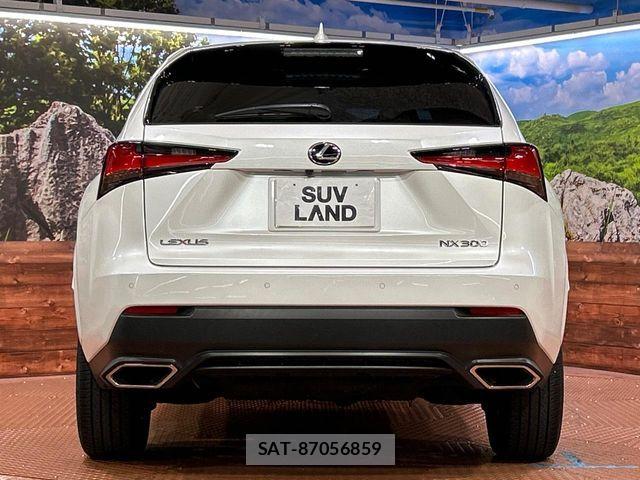 Lexus NX 2019-05 8743457-14
