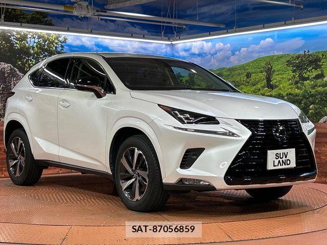Lexus NX 2019-05 8743457-15