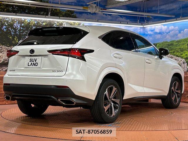 Lexus NX 2019-05 8743457-16