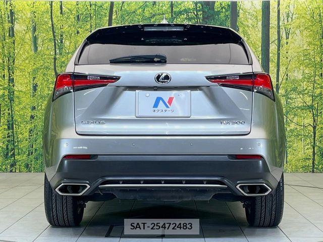 Lexus NX 2017-10 8780861-14